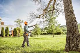 Best Tree Trimming and Pruning  in North River Shores, FL